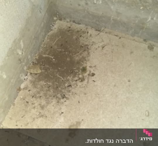 לכלוך ופסולת על רצפה בפינה